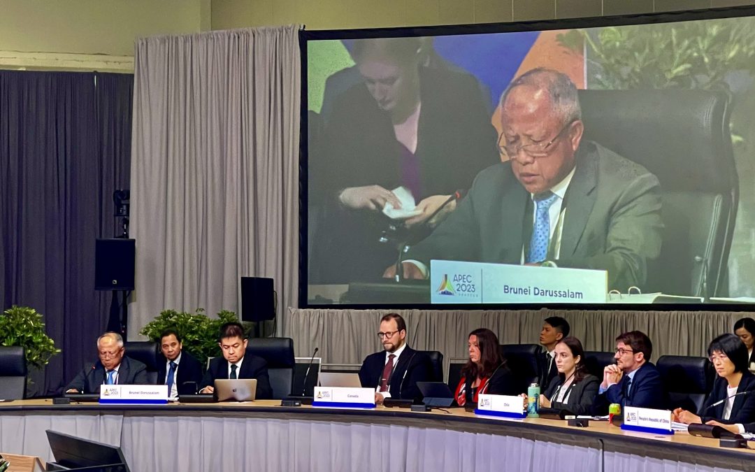 Asia Pacific Economic Cooperation Energy Ministerial Meeting (APEC EMM)